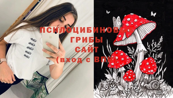 PSILOCYBIN Тавда