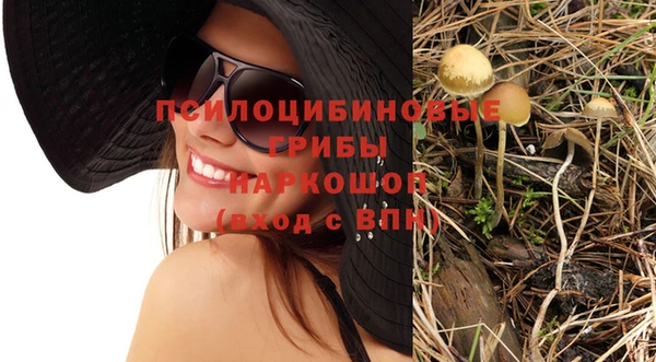 стафф Балахна
