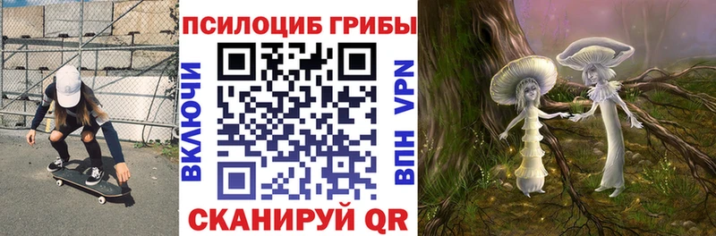 Псилоцибиновые грибы MAGIC MUSHROOMS  Липки 