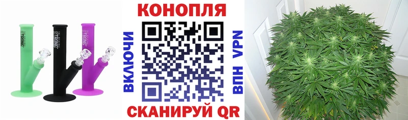 как найти закладки  Липки  даркнет наркотические препараты  Бошки марихуана план 